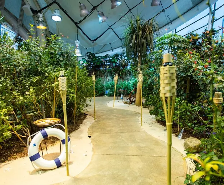 Butterfly Conservatory Tips: Don’t Miss the Best Moments