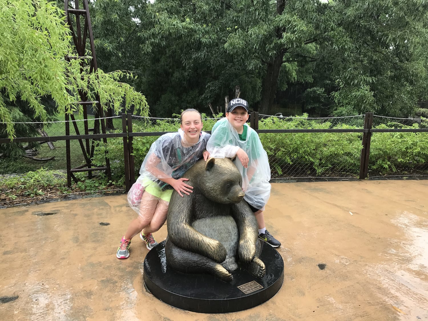 A visitor at an outdoor zoo walkway wearing a clear poncho while holding a folded map, with wet pavement after a rain shower