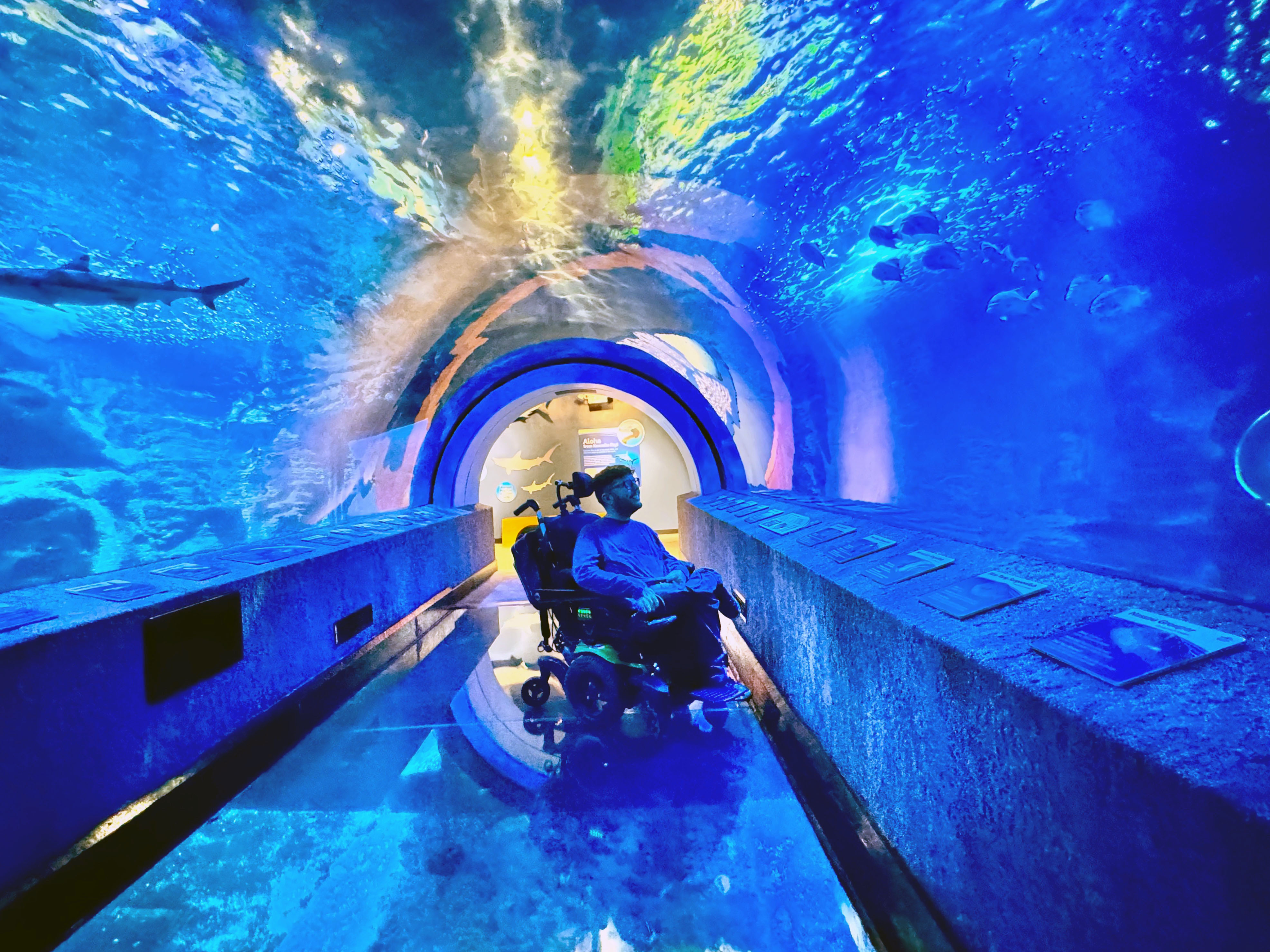 A wheelchair user looking up at a glass aquarium tunnel as fish swim overhead, with wide pathways and soft lighting
