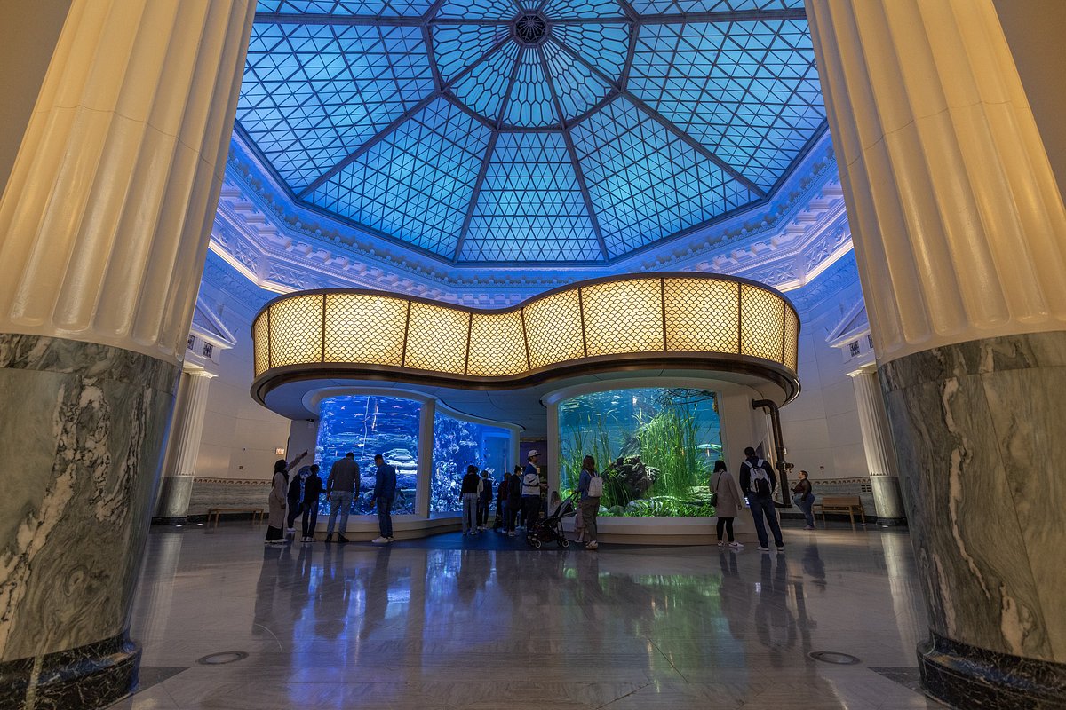 Best Indoor Attractions for Rainy or Too-Hot Days in Major U.S. Cities